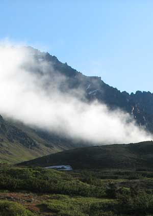 Anchorage Alaska, Web Development and Programming