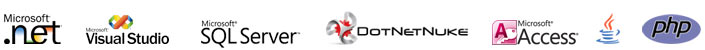 Web Design Services in Alaska