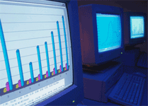 Database application development or web database programming
