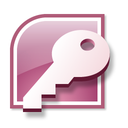 Access Programming and Access Consulting Services