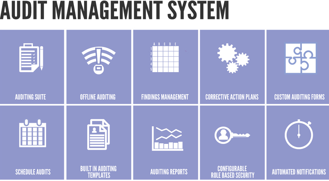 Audit Management System